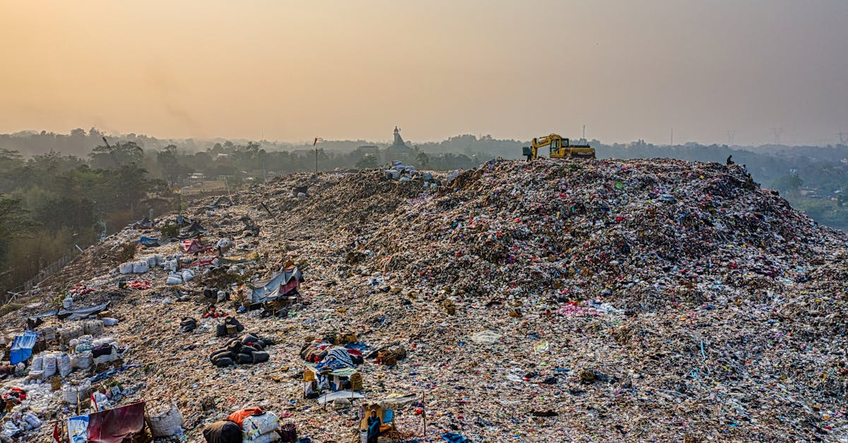 découvrez une sélection de contenus captivants autour du thème du 'trash'. plongez dans l'univers des déchets, du recyclage, et des tendances écoresponsables qui transforment notre rapport à la consommation. explorez des articles, des astuces et des initiatives qui mettent en lumière la beauté cachée dans le déchet.
