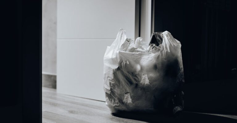 découvrez l'univers du trash : une exploration des arts et de la culture qui défie les normes. plongez dans des œuvres percutantes, des tendances audacieuses et un style de vie alternatif qui célèbre l'esthétique du rebut et la beauté du non-conformisme.