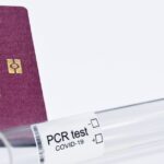 Solutions pour remédier à l'absence de détection du WD My Passport sur Mac découvrez comment détecter votre disque dur externe wd my passport. suivez nos étapes simples pour résoudre les problèmes de connexion et profiter pleinement de votre stockage de données.