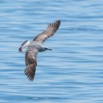 découvrez notre sélection d'applications gratuites incontournables pour optimiser votre quotidien ! que ce soit pour la productivité, le divertissement ou la créativité, trouvez les meilleures apps à télécharger sans débourser un centime.