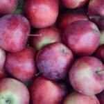 A close-up image of fresh red apples, showcasing vibrant colors and textures.
