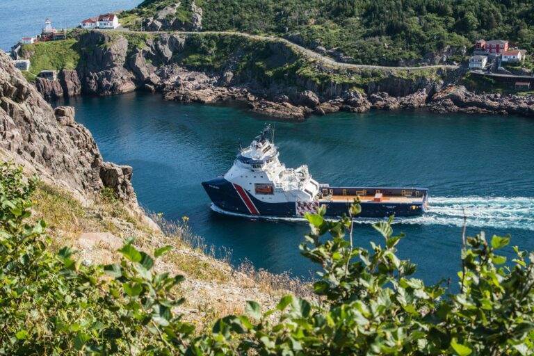 Aerial view of a cargo ship sailing through a picturesque coastal fjord with rugged cliffs and greenery.