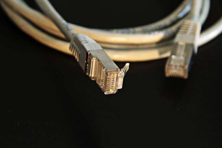 Detailed close-up of a network Ethernet cable showing connectors on a black background.