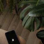 Smartphone displaying logo on couch beside green houseplants.