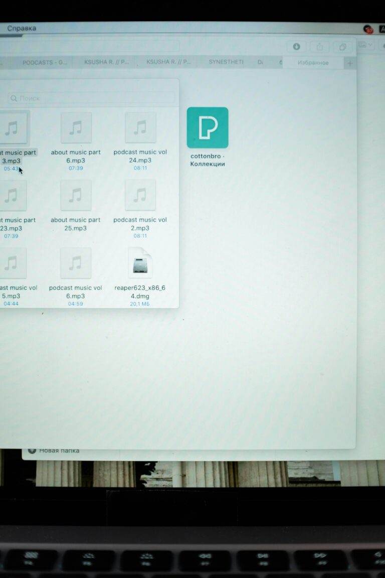 Votre Mac cache des dizaines de gigaoctets de fichiers fantômes View of a laptop displaying various audio files and folders on screen.