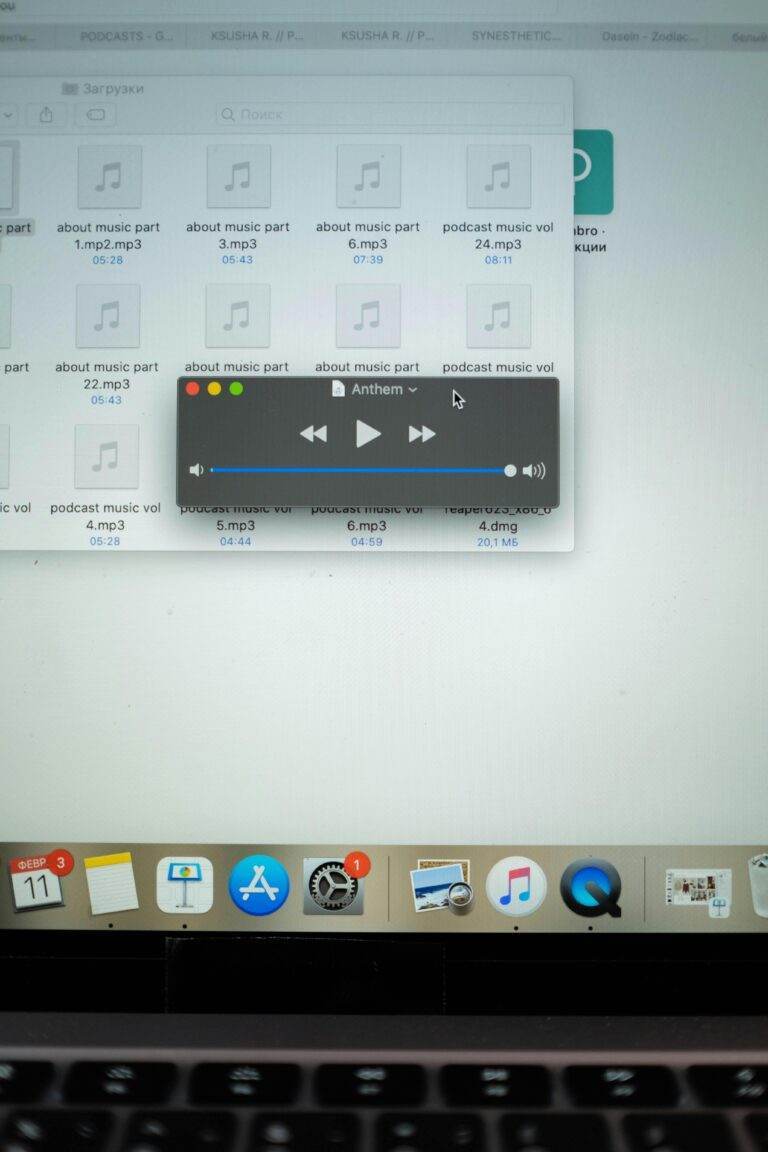 Close-up view of a music player interface displayed on a laptop screen.