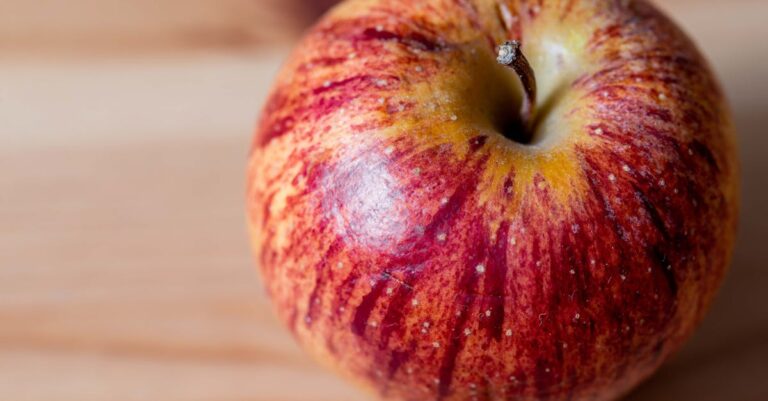 découvrez tout sur apple : actualités, produits, innovations et conseils pour tirer le meilleur des technologies apple.