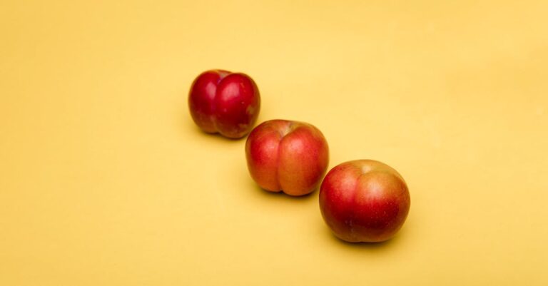 Apple Loop : Fuite sur l’iPhone pliable, futur CEO d’Apple en vue, et controverse autour d’iOS 26 découvrez tout sur apple : actualités, produits innovants, astuces et conseils pour tirer le meilleur de vos appareils apple.