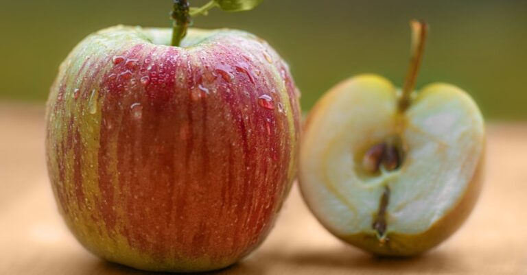 Apple prépare une révolution IA avec une application Siri repensée, un nouveau design et un bouton ‘Demandez à Siri’ dans iOS 27 découvrez les innovations et avancées d'apple dans le domaine de l'intelligence artificielle, alliant technologie de pointe et expérience utilisateur unique.