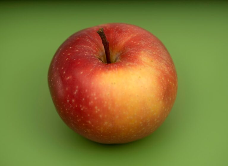 L’AI Pin de la taille d’un AirTag d’Apple : Tout ce que nous savons découvrez les dimensions précises de l'apple airtag, un petit appareil de suivi conçu pour retrouver facilement vos objets personnels.