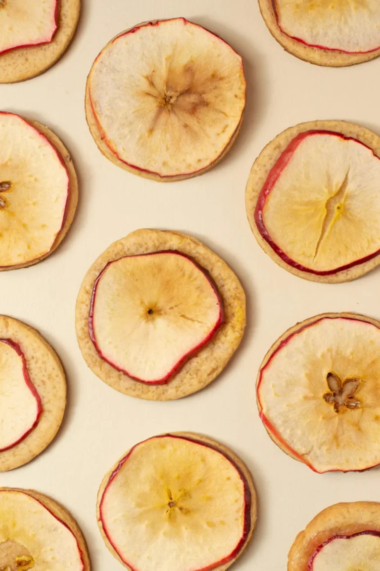 Top-down view of dried apple slices arranged on a beige surface, ideal for food photography.