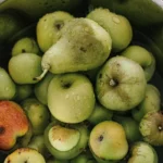 Close-up of fresh green apples and pears in a bowl of water, showcasing natural freshness.