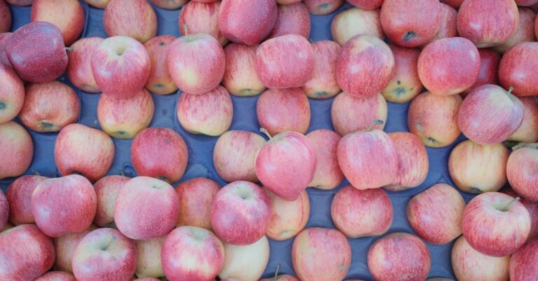 Filiale d’Apple condamnée à une amende de plus de 500 000 $ pour violation des sanctions russes découvrez les détails des amendes imposées à une filiale d'apple et leurs impacts sur l'entreprise.