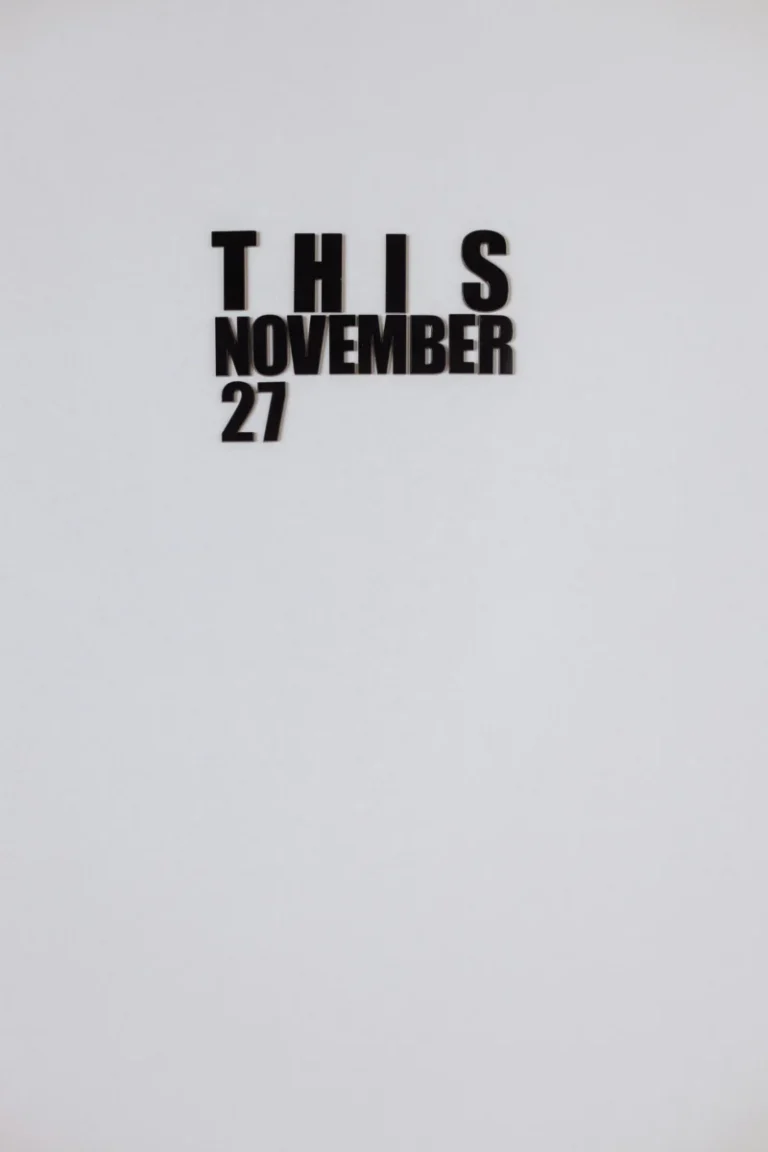 Simple white background with bold black text reading 'THIS NOVEMBER 27' for marketing or events.