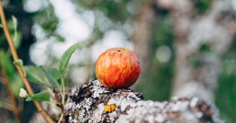découvrez tout sur apple, la marque innovante leader en technologie, électronique grand public et services numériques.