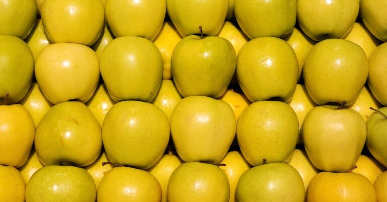 découvrez l'histoire et le parcours inspirant du cofondateur d'apple, figure emblématique de l'innovation technologique.