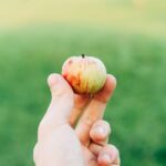 découvrez pourquoi warren buffett investit dans les actions apple et ce que cela signifie pour les investisseurs.