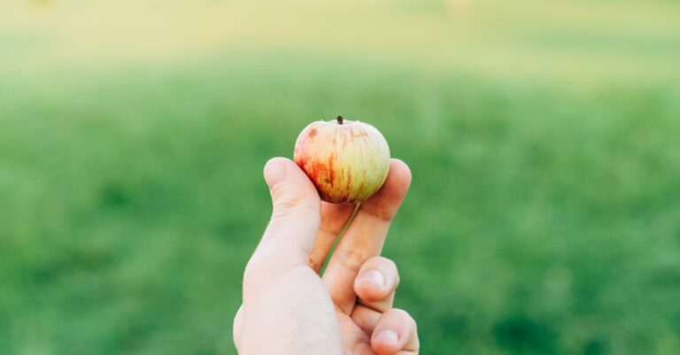 découvrez pourquoi warren buffett investit dans les actions apple et ce que cela signifie pour les investisseurs.