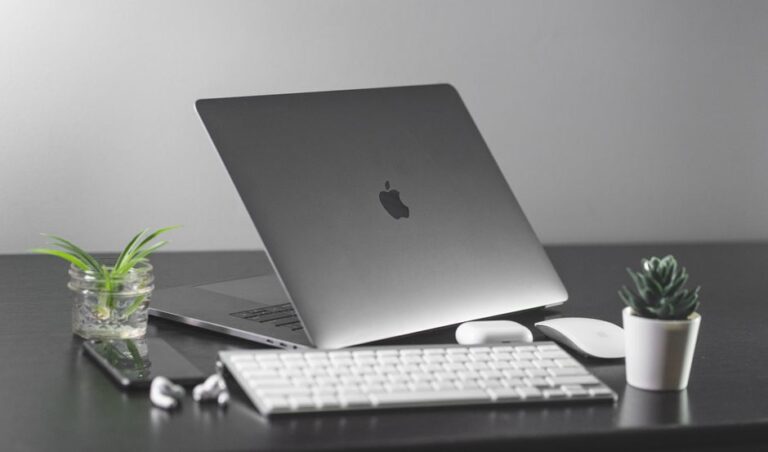 Minimalist desk setup with a laptop, keyboard, mouse, and plants.