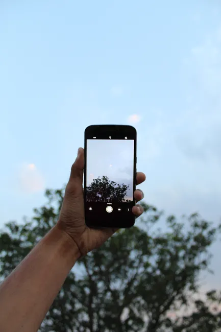 Hand holding smartphone capturing trees against a clear sky.
