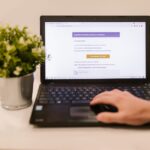 Person using a laptop to read an email indoors beside a potted plant.