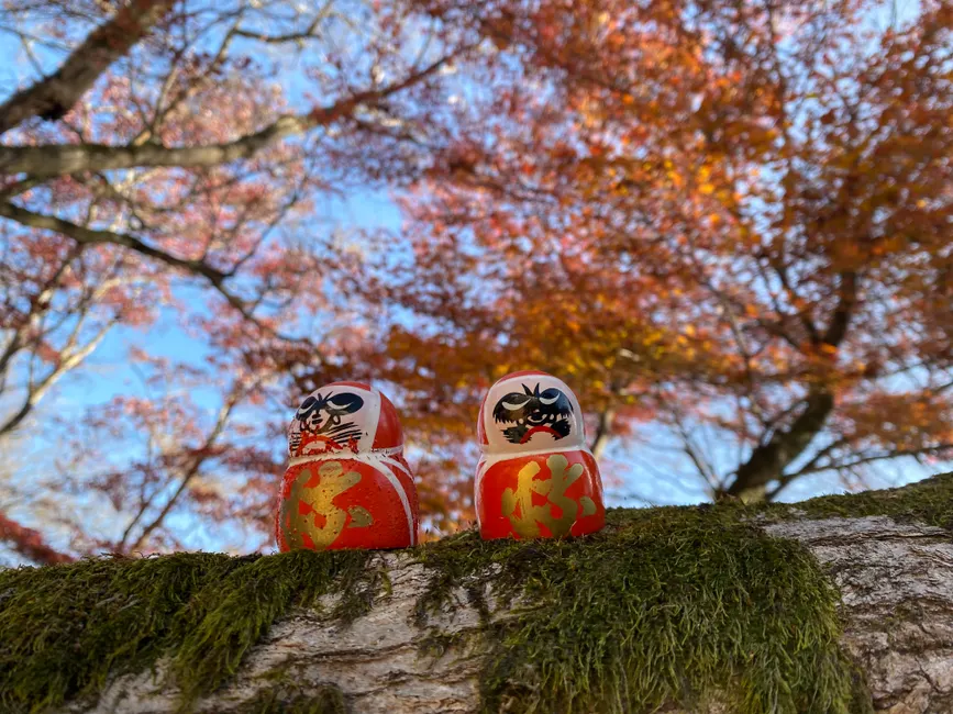 Two red Daruma dolls on a mossy branch with vibrant autumn foliage background.