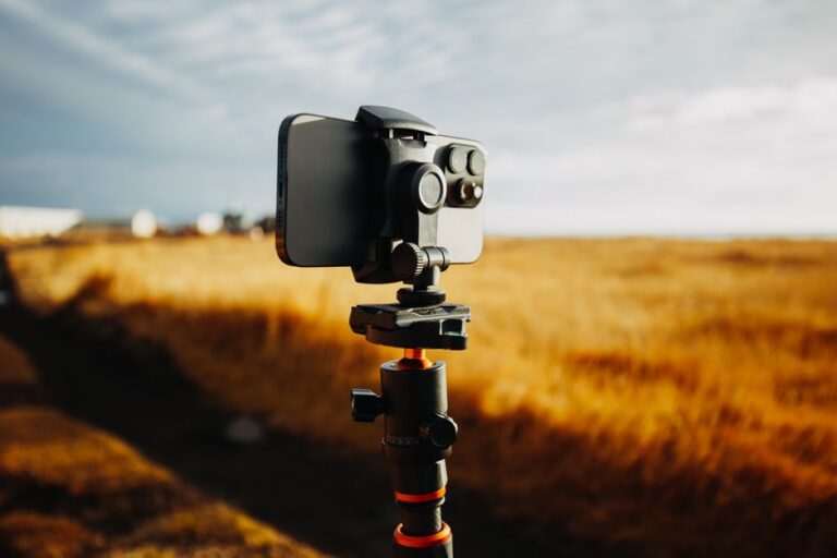 Aurore boréale sur iPhone : les réglages pour éviter la photo noire A smartphone is mounted on a tripod capturing the vast golden field under a bright sky.