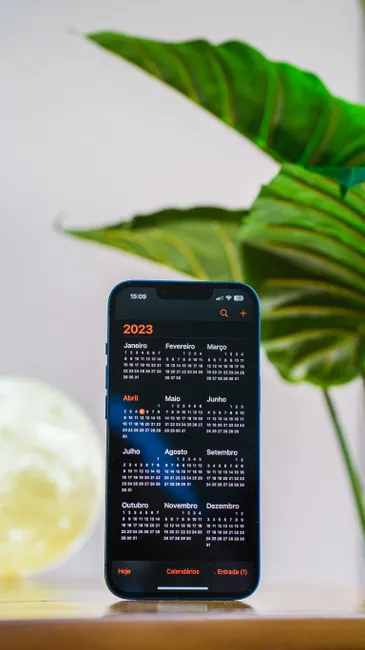Smartphone depicts a 2023 calendar with a vibrant Monstera leaf in the background.