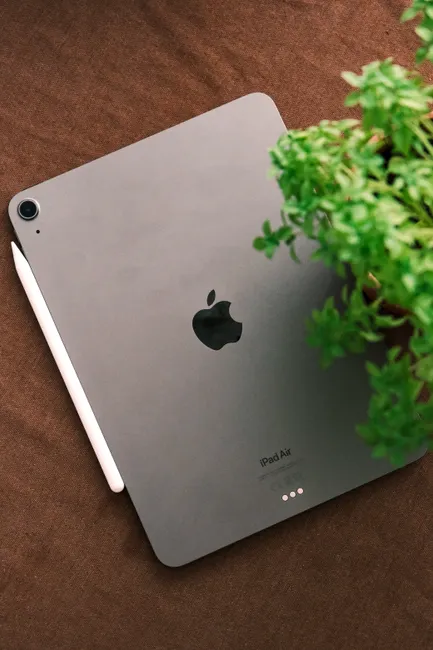 Top view of a sleek tablet and stylus on a brown surface beside a green plant.